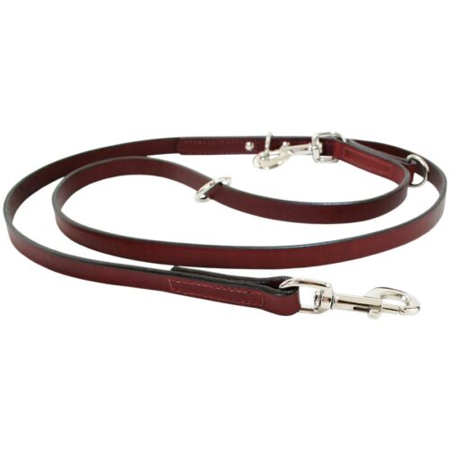 Multi-Function Leash