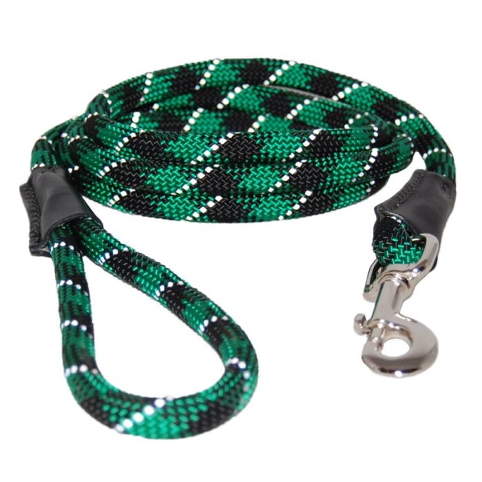 green reflective rope leash with snap end