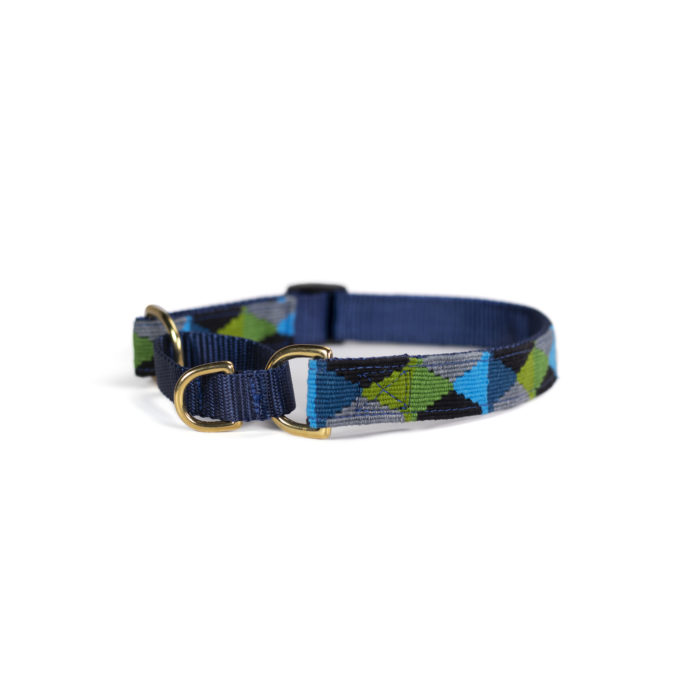 a tail we could wag martingale dog collar in Argyle