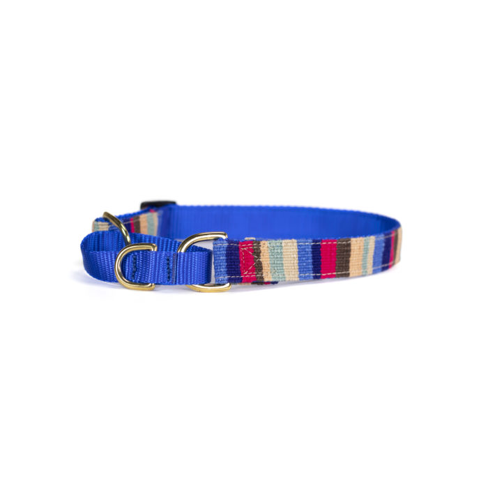 a tail we could wag martingale dog collar in At the Beach Catalina