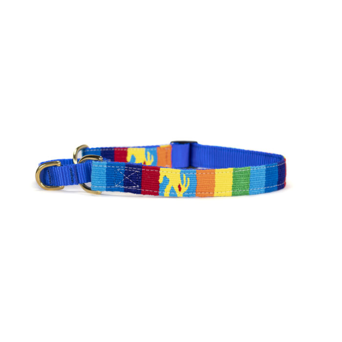 a tail we could wag martingale dog collar in Fiesta
