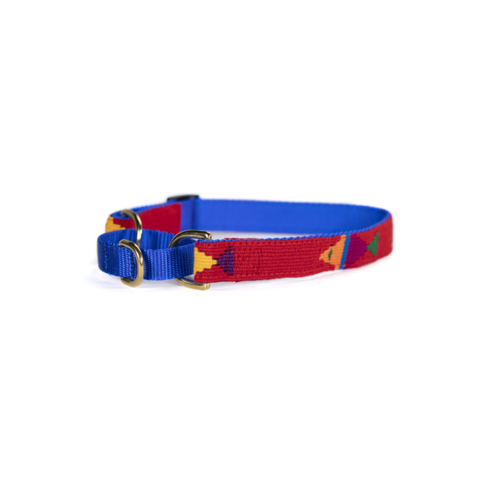 a tail we could wag martingale dog collar in Foolish Fish Red