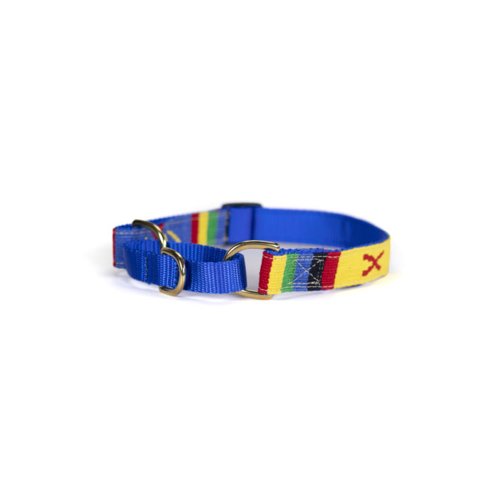 a tail we could wag martingale dog collar in Harborside Daybreak