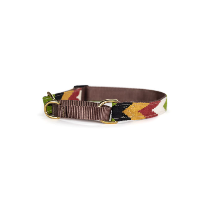 a tail we could wag martingale dog collar in Harvest Chevron
