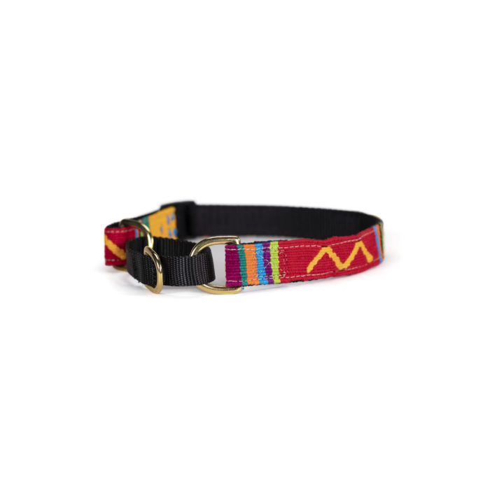 a tail we could wag martingale dog collar in Sun Valley Holiday