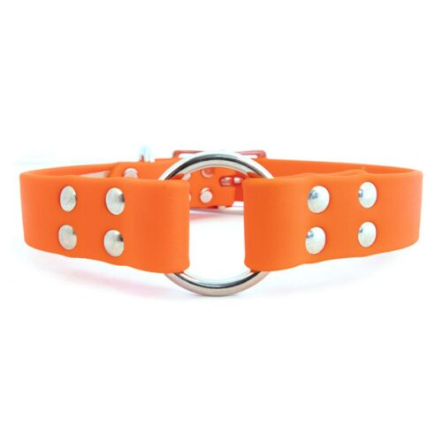 Sparky's Choice Center Ring Odorproof Hunting Dog Collar