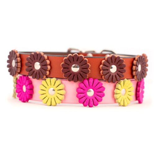 Leather Dog Collar with Flowers