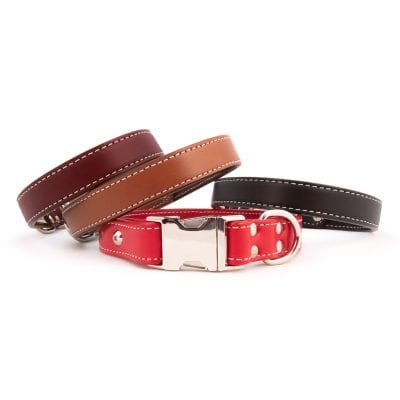 Collars - Auburn Leathercrafters