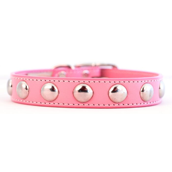 Silver Studded Collar Pink