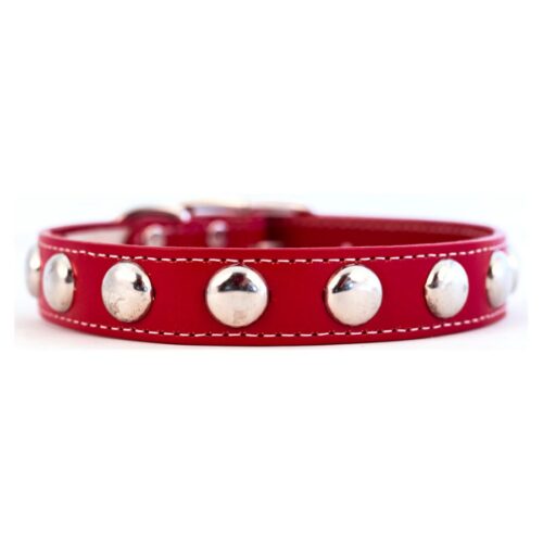 Silver Studded Collar Red