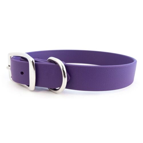 Sparky's Standard Buckle Collar Violet