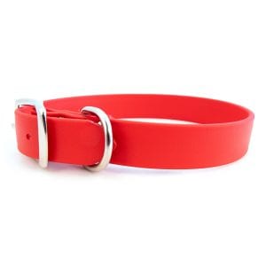 Sparky's Standard Buckle Collar Red