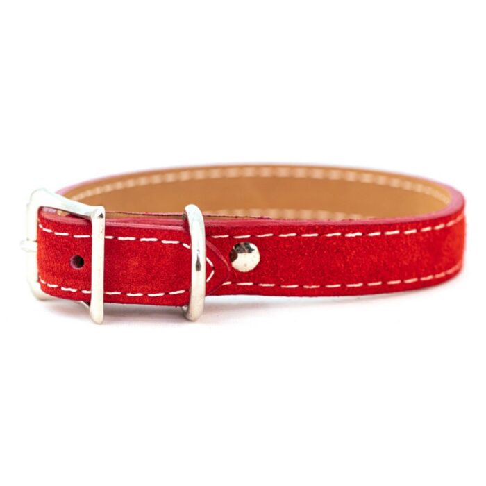 Saratoga Suede collar in red