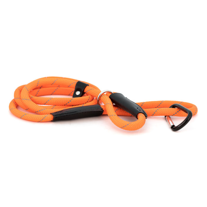 reflective slip leash in orange nylon web