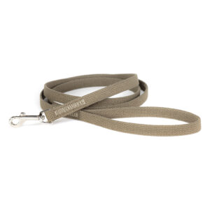 auburn Leatghercrafters cotton olive green web training leash with nickel snap