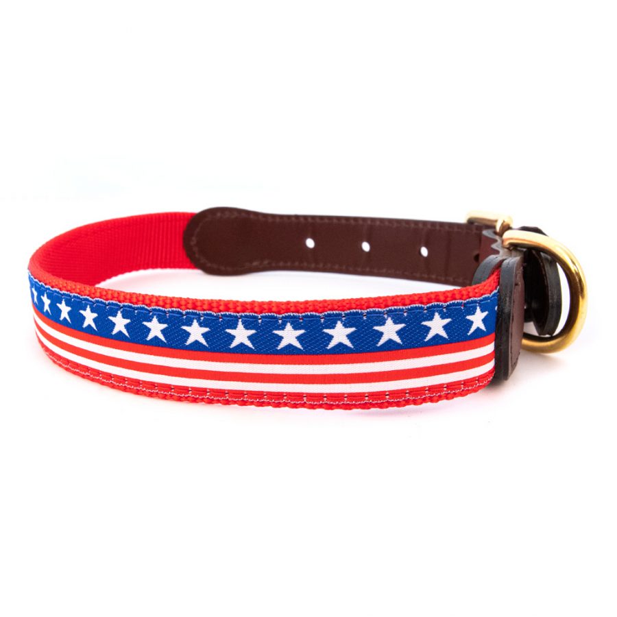 American Traditions Leather and Ribbon Dog Collar