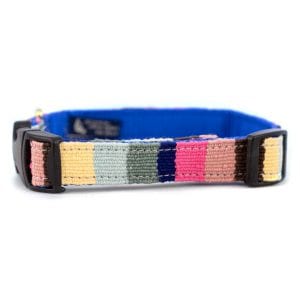 At the Beach Bahama striped dog collar with pastel stripes