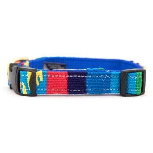 a tail we could wag Fiesta Dog Collar