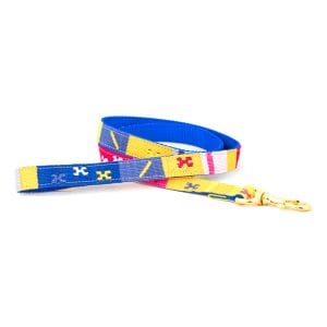 a tail we could wag Starry Day Mango leash with pink, light blue, medium blue, and yellow