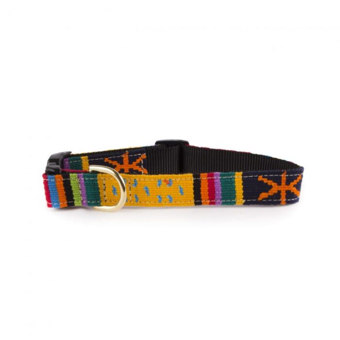 a tail we could wag Sun Valley Holiday dog collar