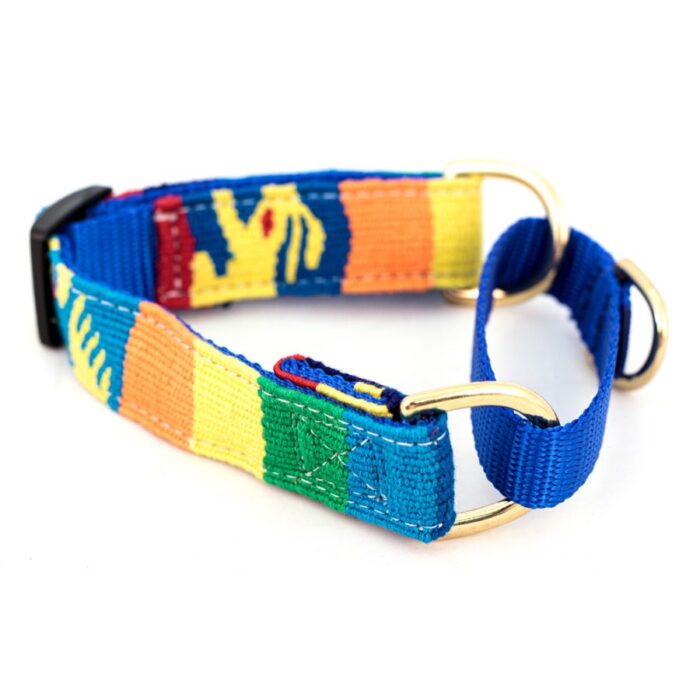 a tail we could wag - Collar - Fiesta Martingale - Web