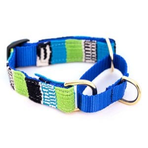 a tail we could wag - Collar - Laguna Brava Martingale - Web