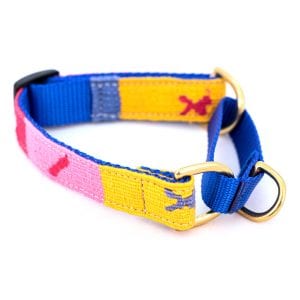 a tail we could wag - Collar - Starry Day Mango Martingale - Web