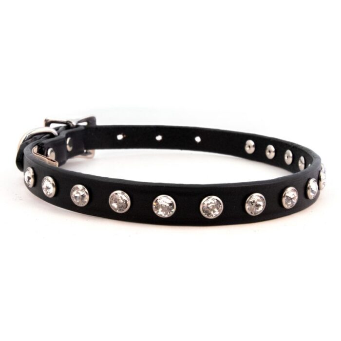 Minnie Maddie Black Dog Collar for small dogs