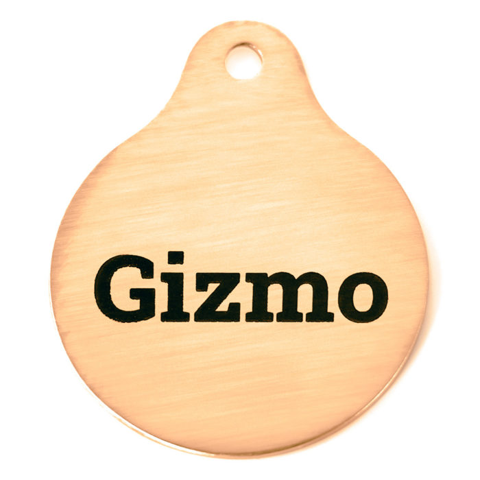 brass charm engraved with the word Gizmo on black