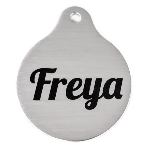 stainless steel charm with the word Frey engraved in black