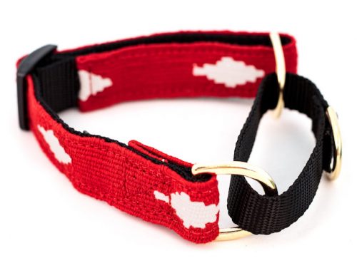 Why You Might Need a Martingale Dog Collar