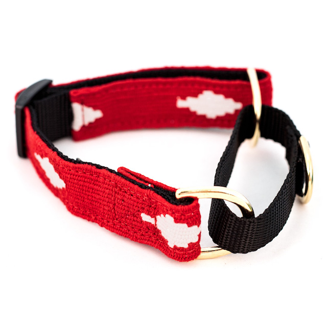 learn why you might need a martingale dog collar