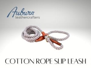 auburn leathercrafters dog experts teaches how to use a slip leash correctly