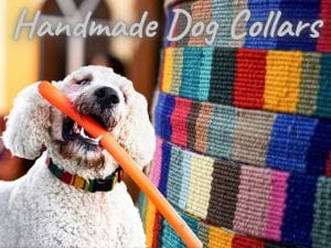 dog showing off handmade dog collars