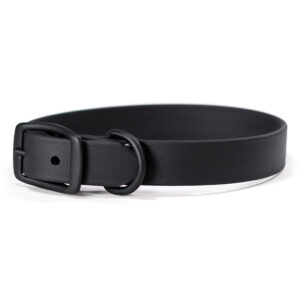 Black BioThane® Range Day collar collar with black buckle