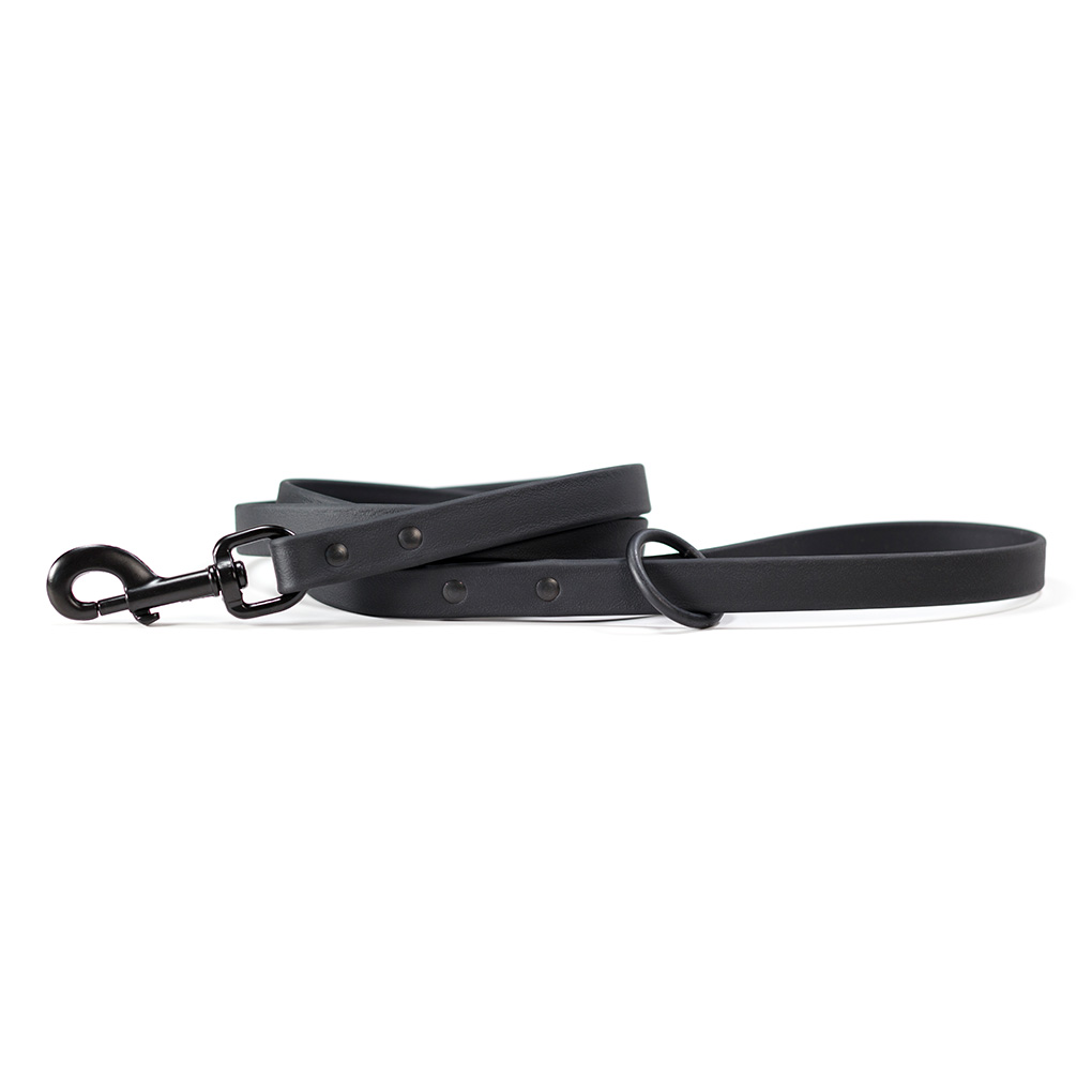 black Biothane dog leash with black snap and hardware