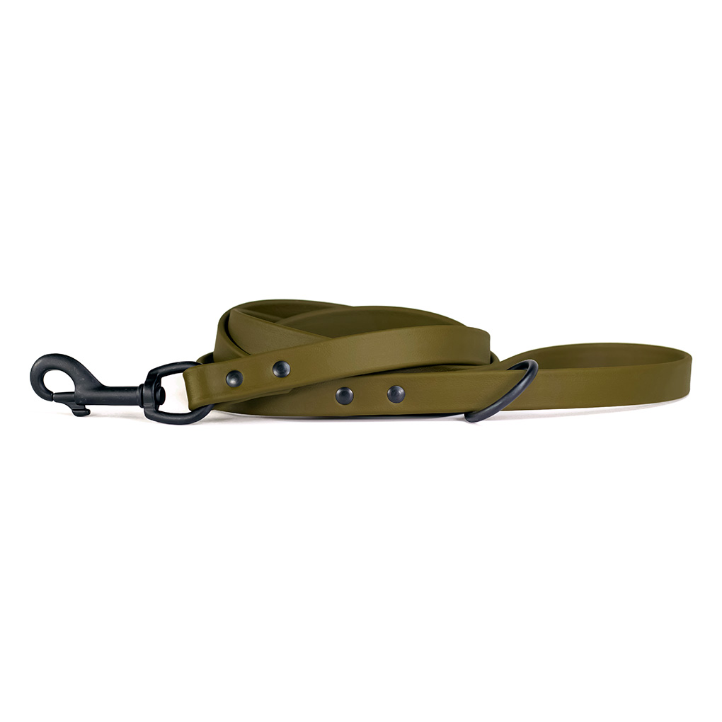 OD green Biothane dog leash with black snap and hardware