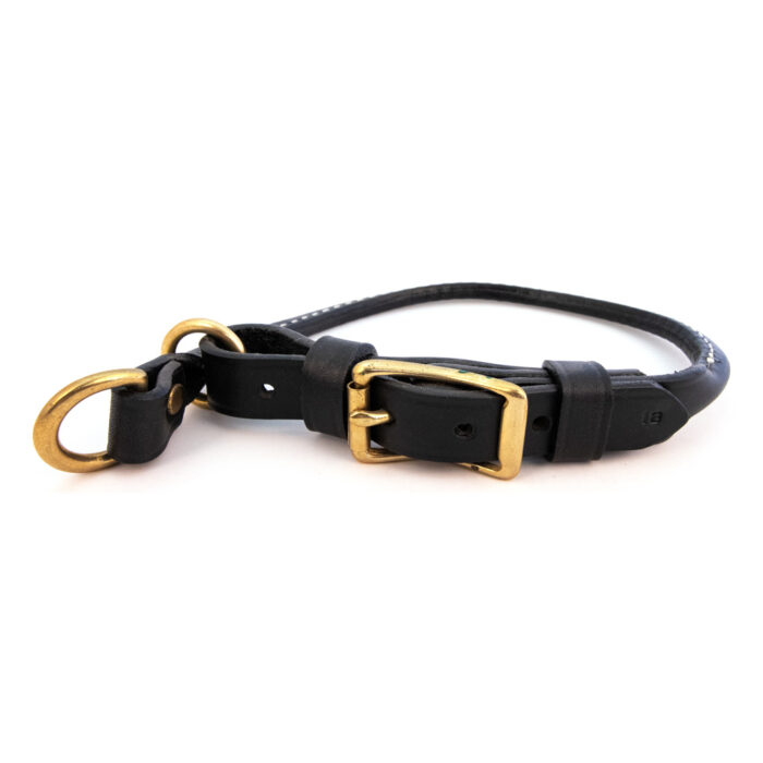 black rolled combination dog collar