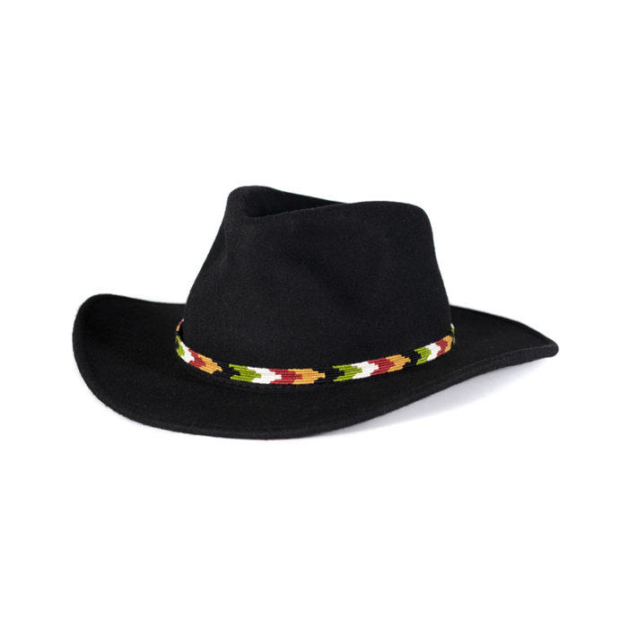 a tail we could wag Havest Chevron hatband on black hat