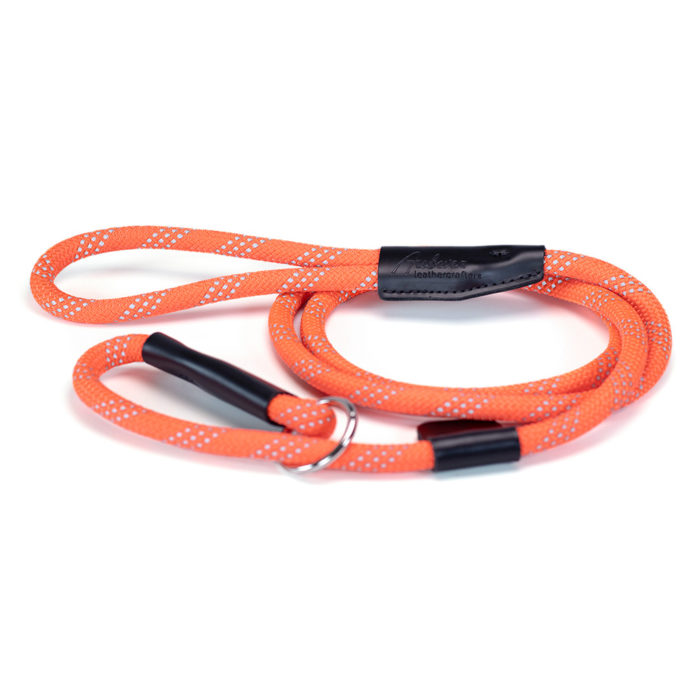 reflective orange nylon slip leash with 3 rows of reflective strips