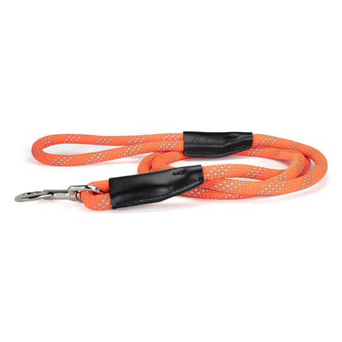 reflective orange nylon snap-style leash with 3 rows of reflective strips
