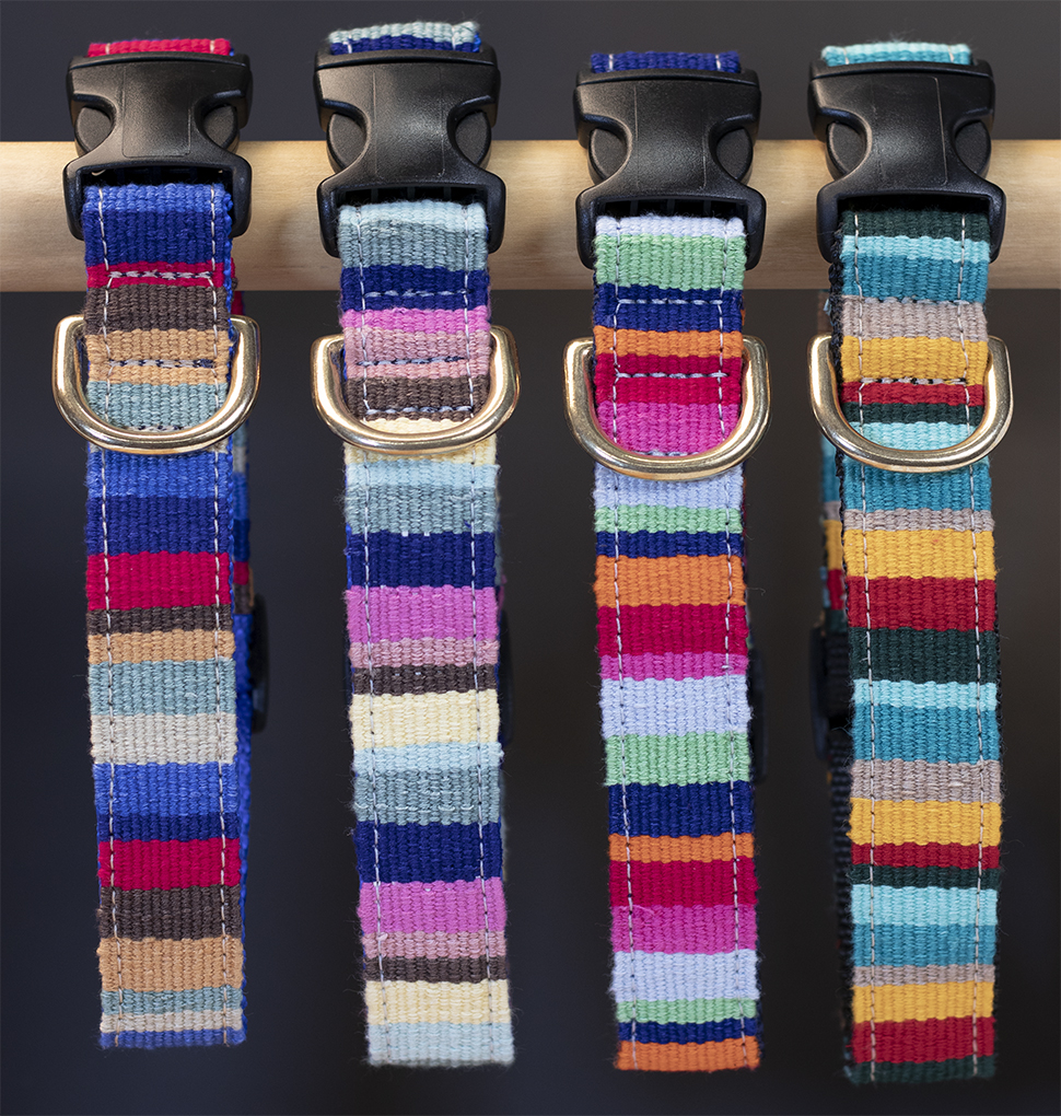 a tail we could wag Side-Release Dog Collar - At the Beach