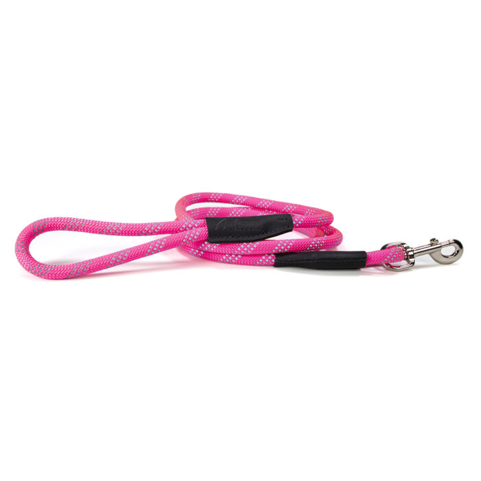 pink reflective leash