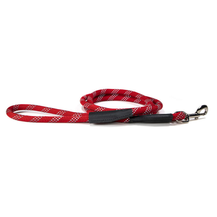 reflective red leash