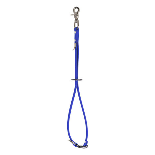 waterproof grooming loop with side release buckle in blue
