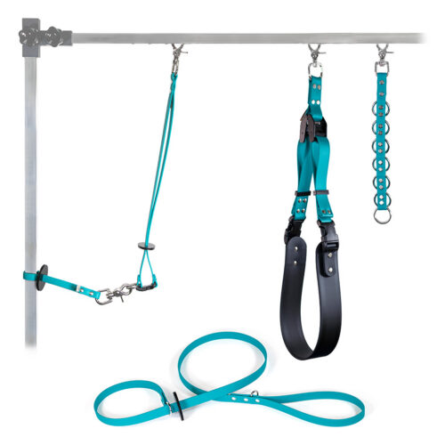 Sparky's Grooming Restraint System in teal
