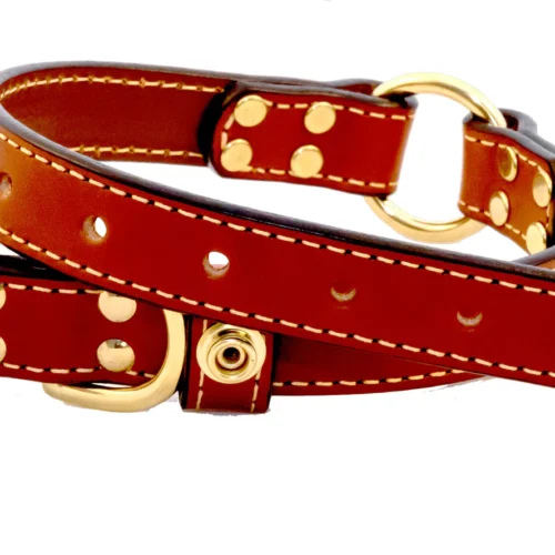 Upland and Downstream Center Ring Collar in tan bridle leather with brass hardware
