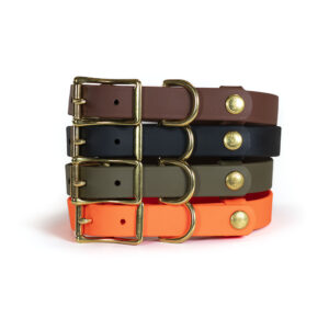 Upland & Downstream group photo Biothane collar with brass hardware and tail snap