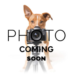 Image coming soon graphic