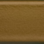 Coyote Bronze